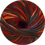 ONline Linie 20 Cora color